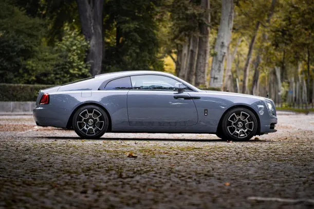 Casino Cyber Bingo App Android/iOS